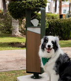 Spazza Cane